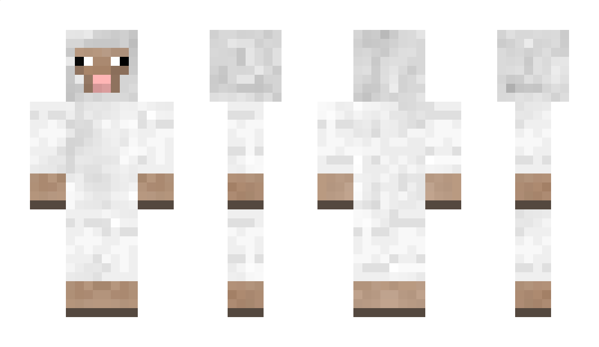 Samsel100 Minecraft Skin