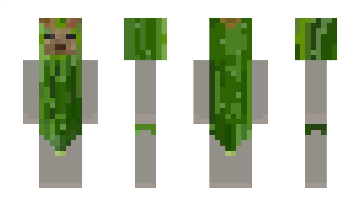 VemVinium Minecraft Skin