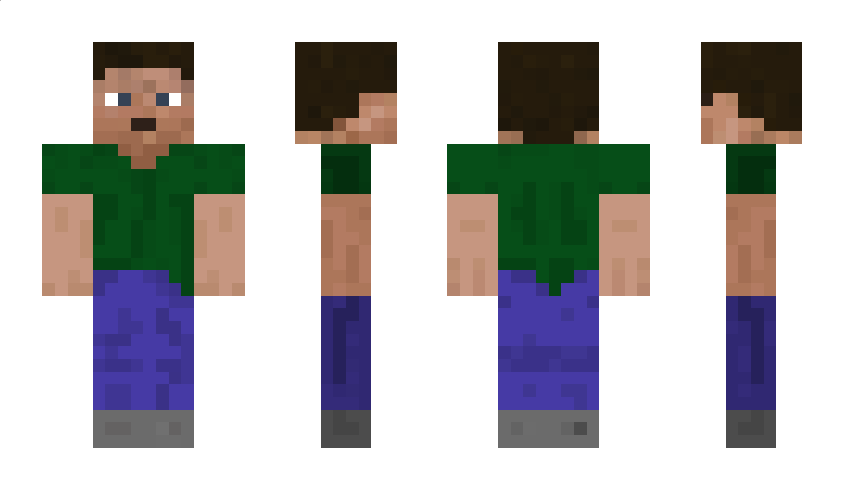 6990 Minecraft Skin