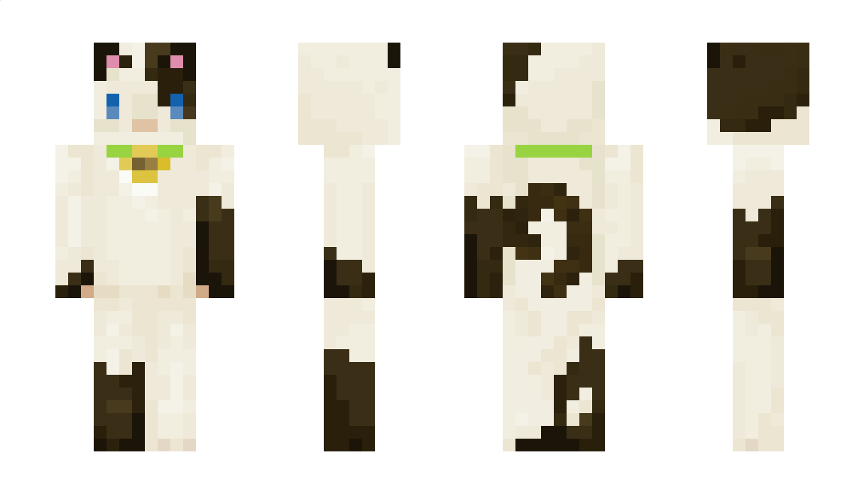 ROLPRZEM Minecraft Skin