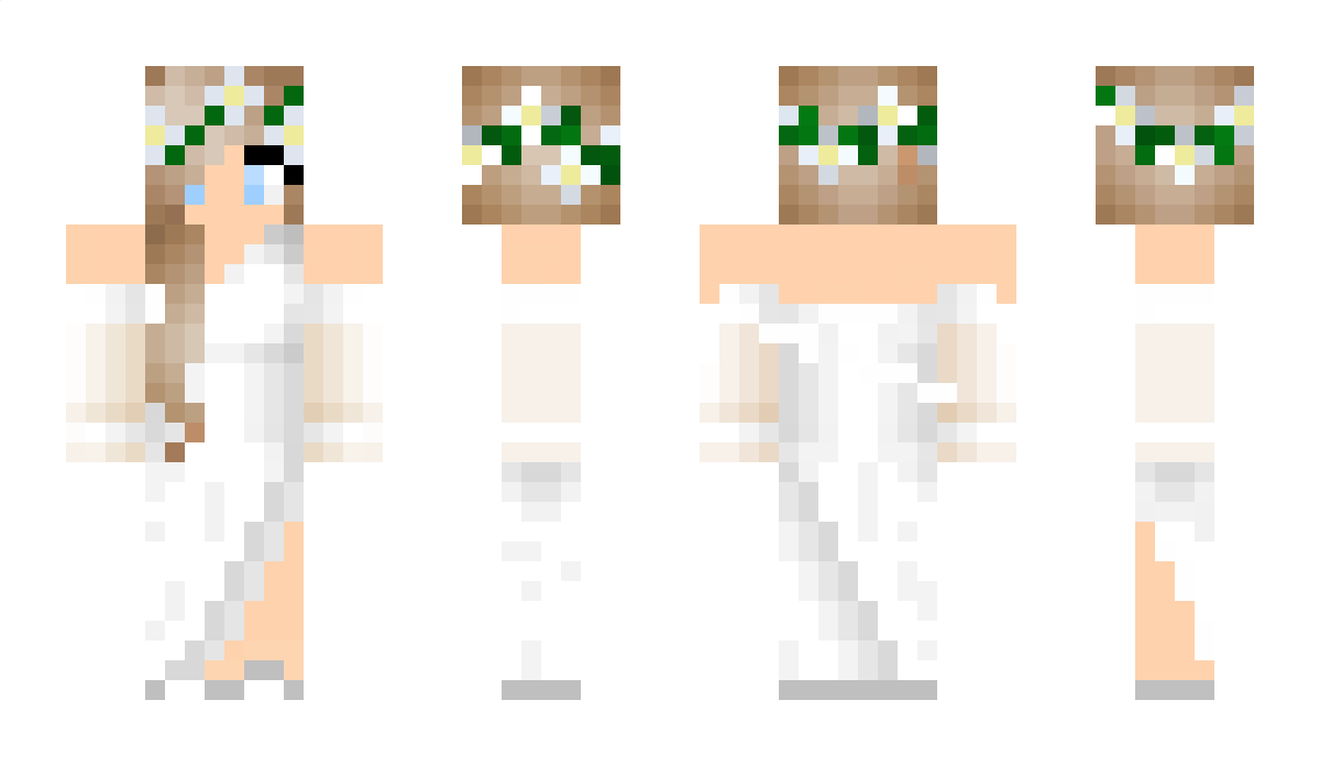 3533 Minecraft Skin