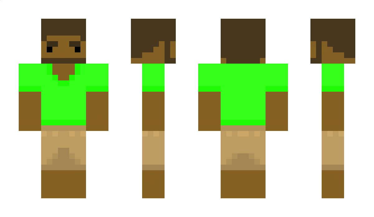 Shellnanigans Minecraft Skin