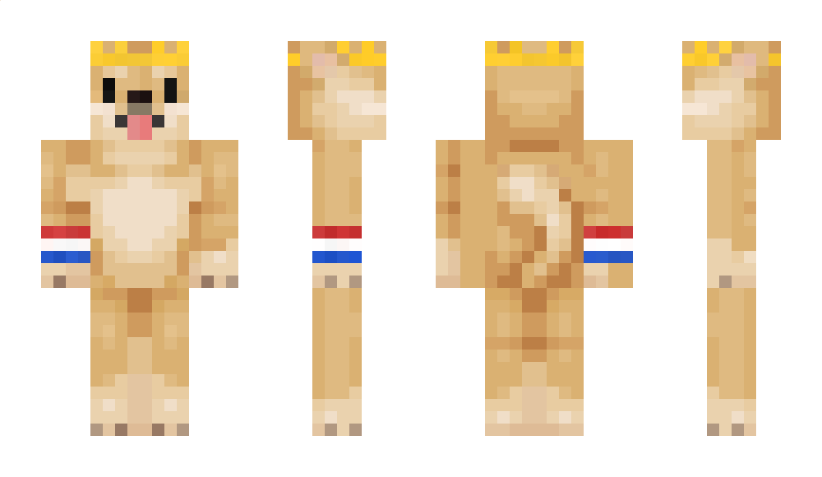 DoggyGameNL Minecraft Skin