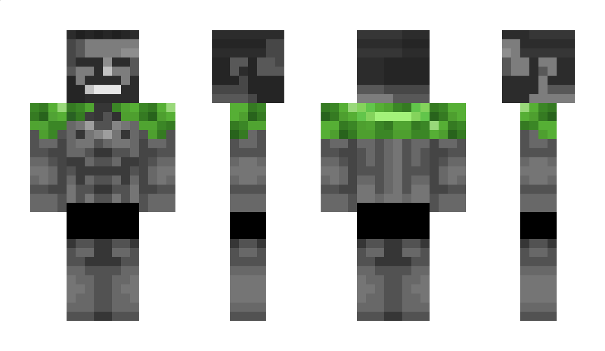 rafpro456 Minecraft Skin