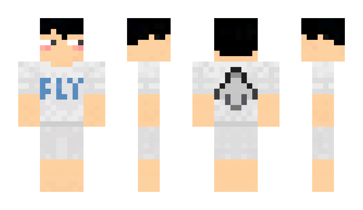 hvji Minecraft Skin