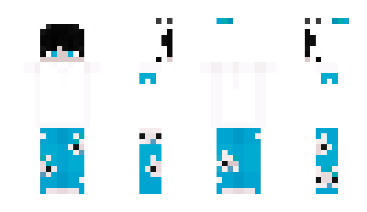 bwsic Minecraft Skin