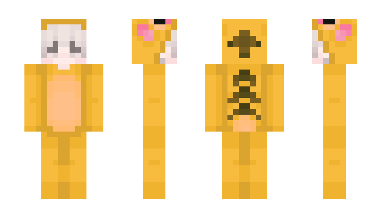 time4901 Minecraft Skin