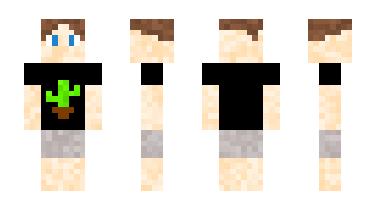 Lagersonik Minecraft Skin