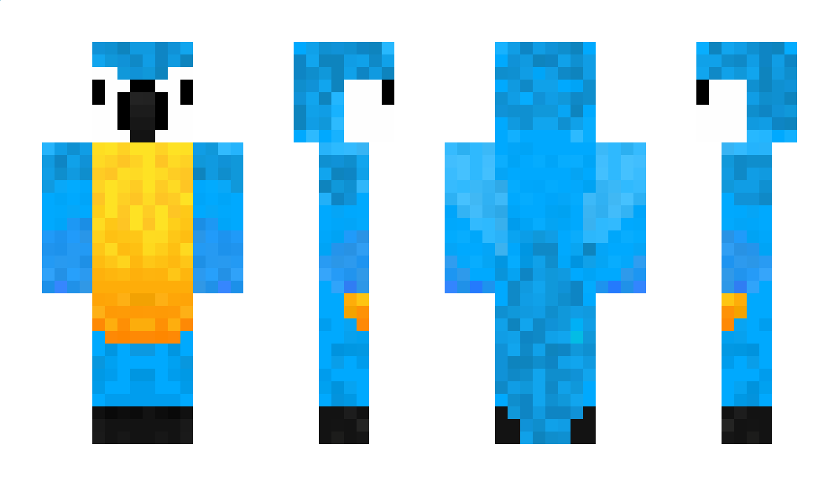 BirdsRock122 Minecraft Skin