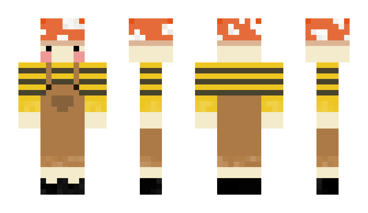 BeeinACar Minecraft Skin