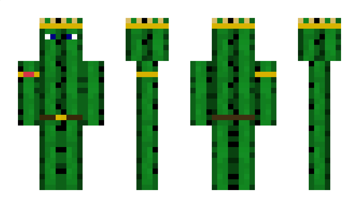 BanjoCactus Minecraft Skin