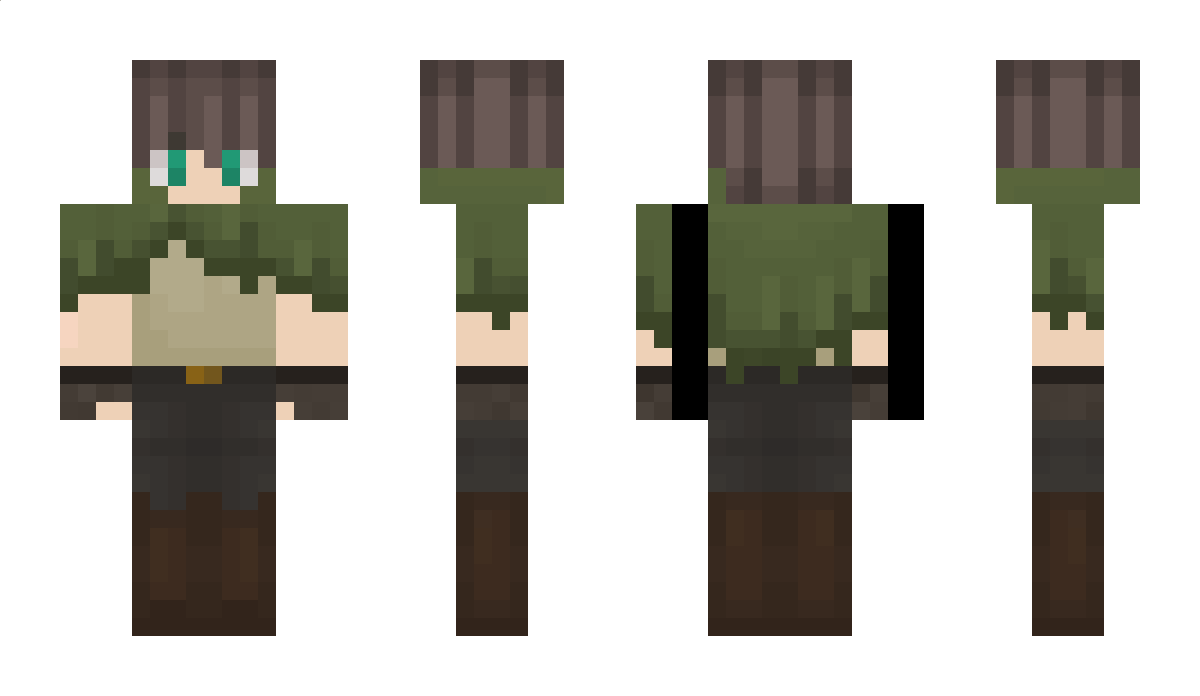 ZplayerEV Minecraft Skin