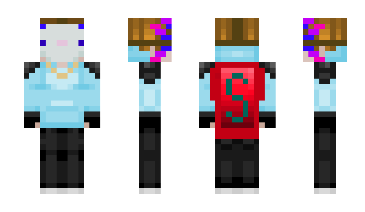 SnackleLive Minecraft Skin