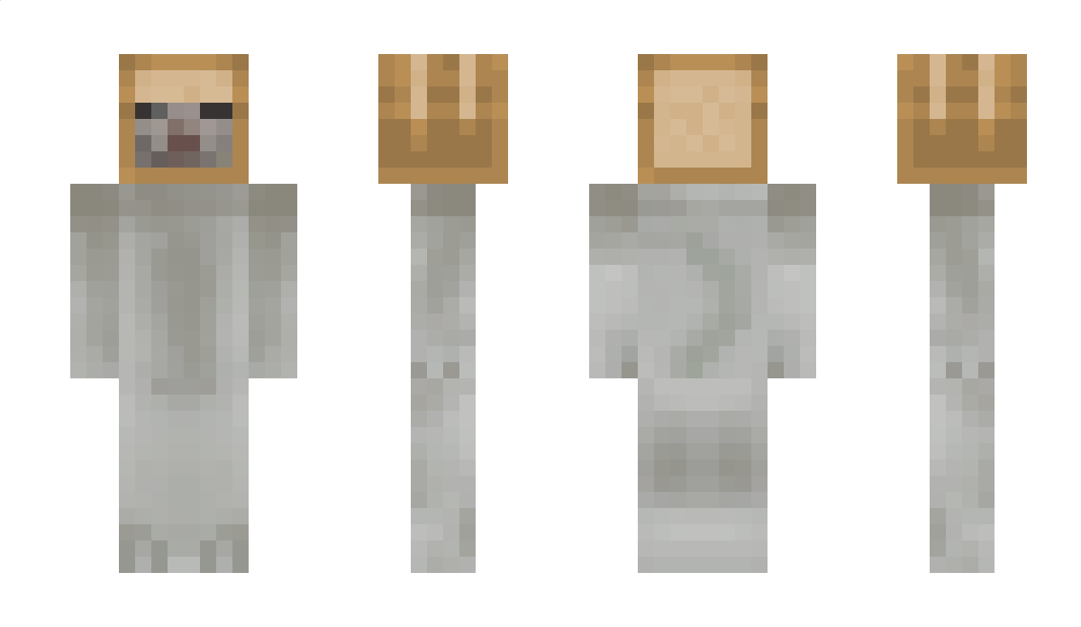 MisterMishMish Minecraft Skin