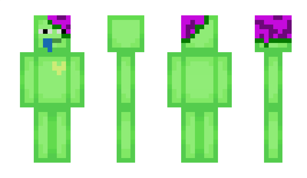 SlimzyFr Minecraft Skin