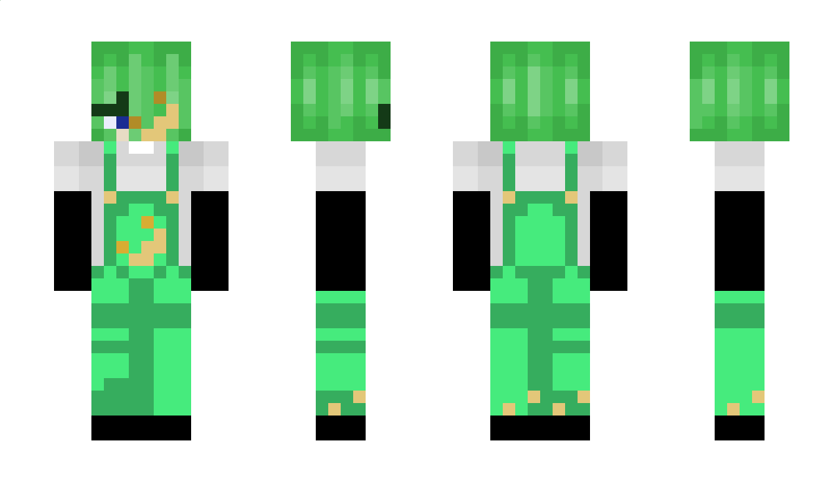 Duckf Minecraft Skin