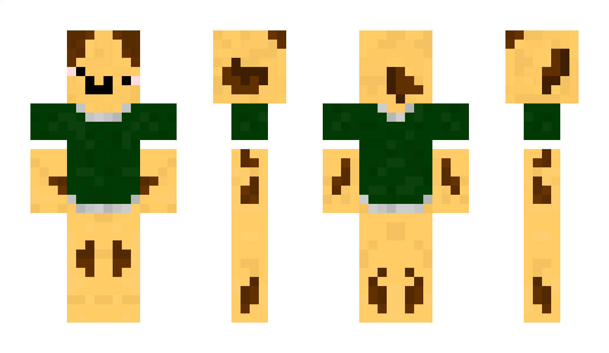 ChaosDAT Minecraft Skin