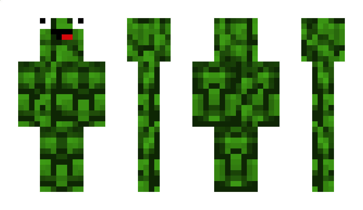 Decorative Minecraft Skin