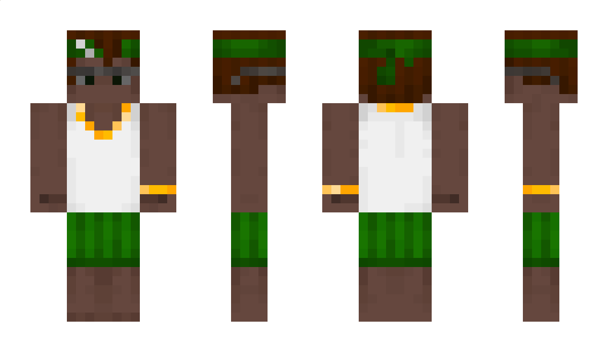 ciaapak Minecraft Skin