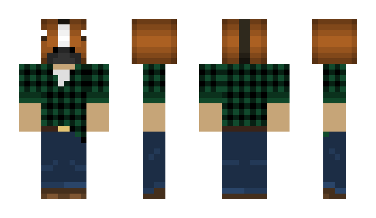 tagoo Minecraft Skin