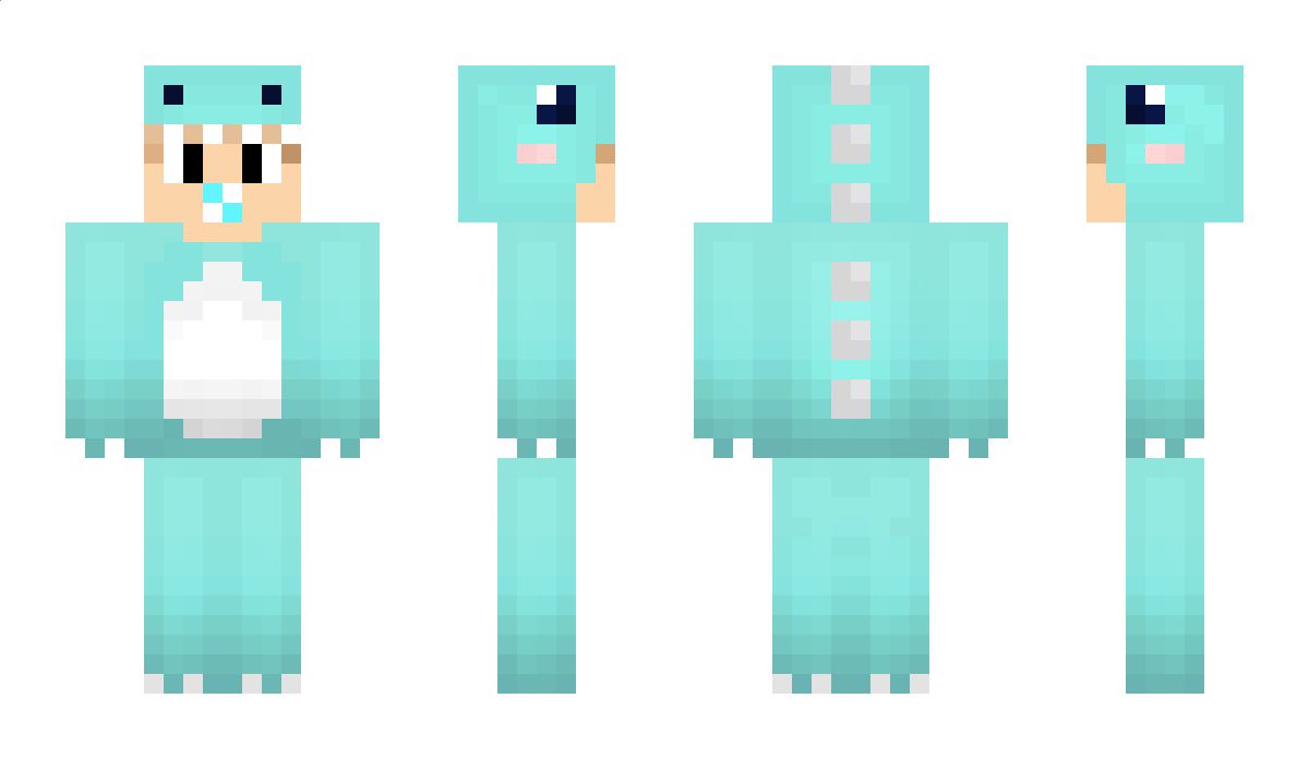 Baer Minecraft Skin