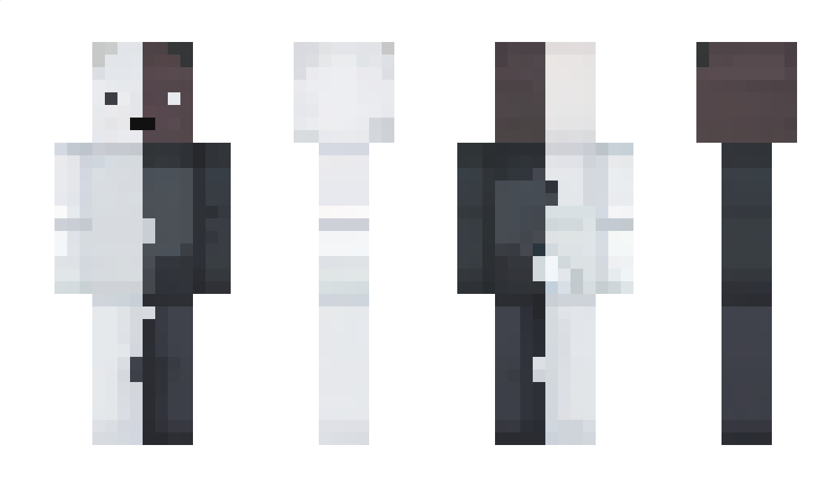 TheMineCraftSage Minecraft Skin