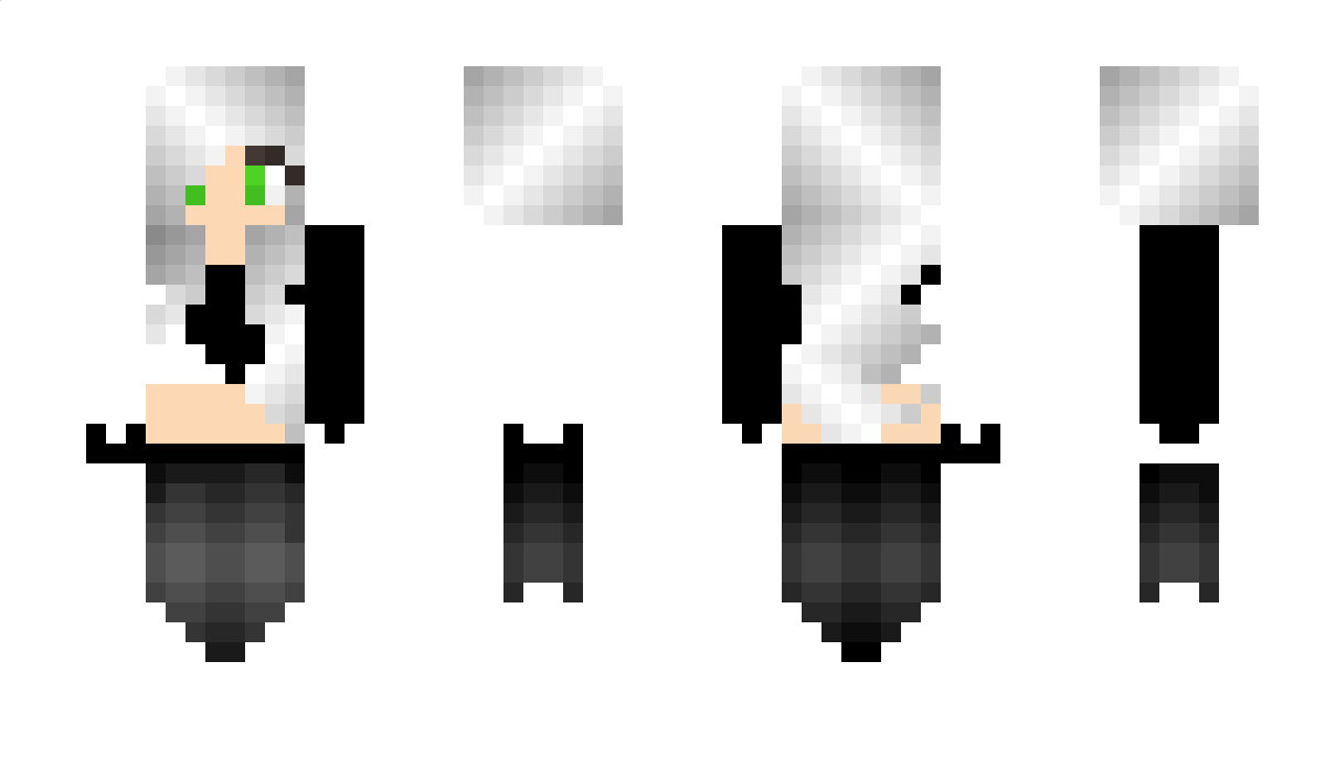 DaniPhantom Minecraft Skin