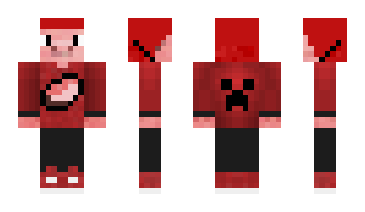 MegaPigGamer Minecraft Skin