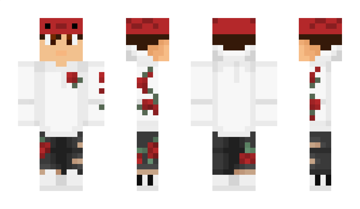 hwal1701 Minecraft Skin