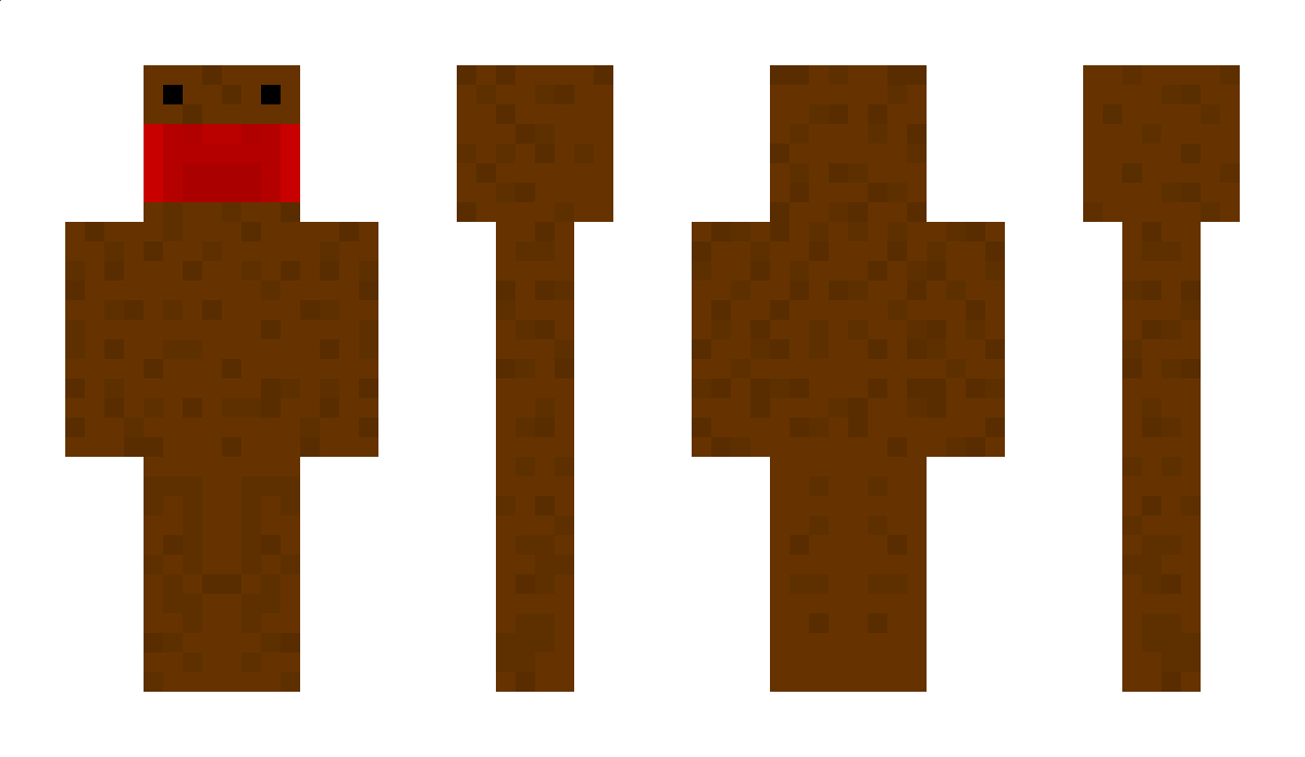 CountrY Minecraft Skin