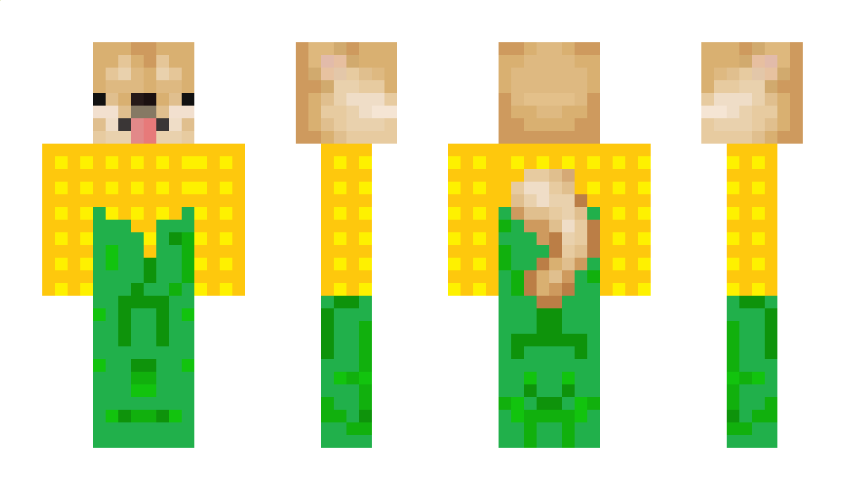 TiseltBlock Minecraft Skin