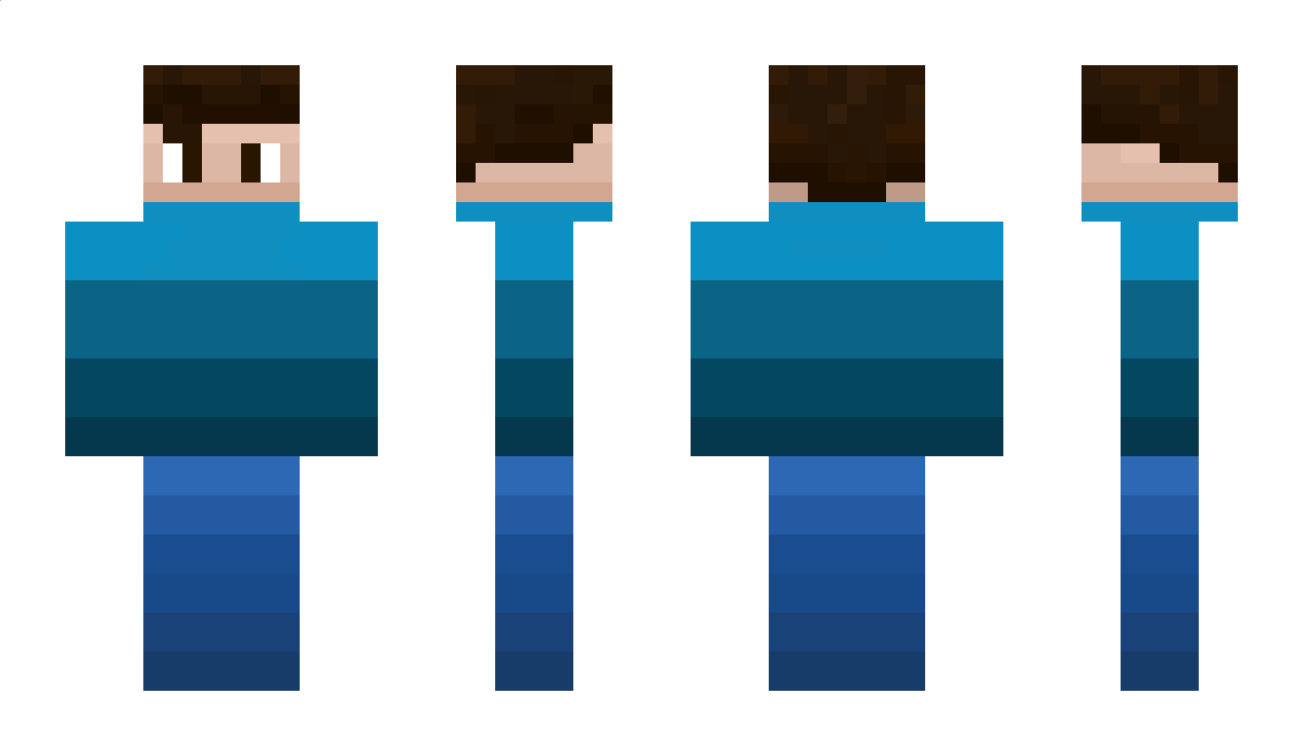 zine_player Minecraft Skin