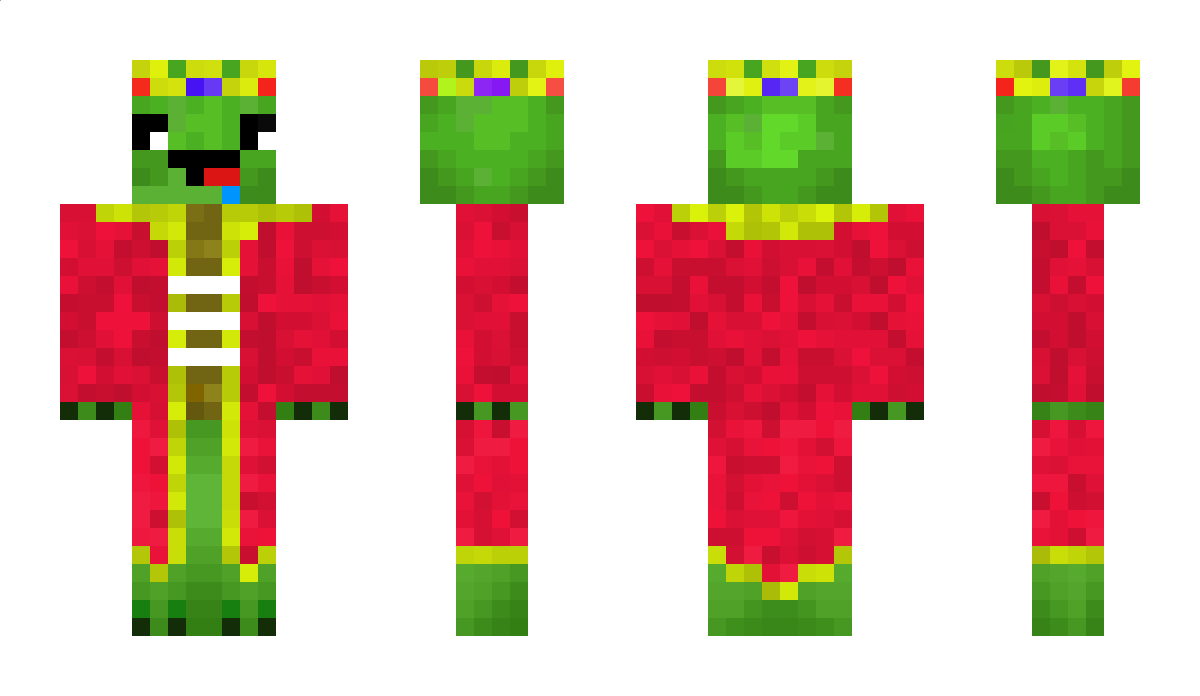 NoiseTurtle Minecraft Skin