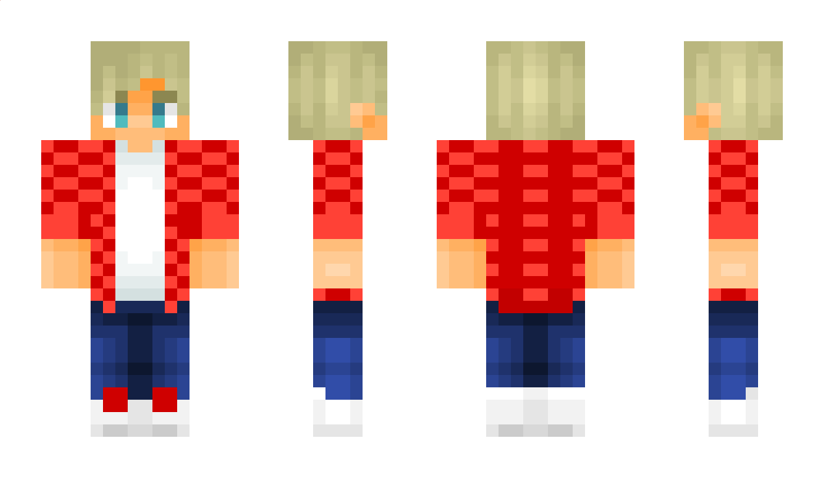 Nicsonheimer Minecraft Skin