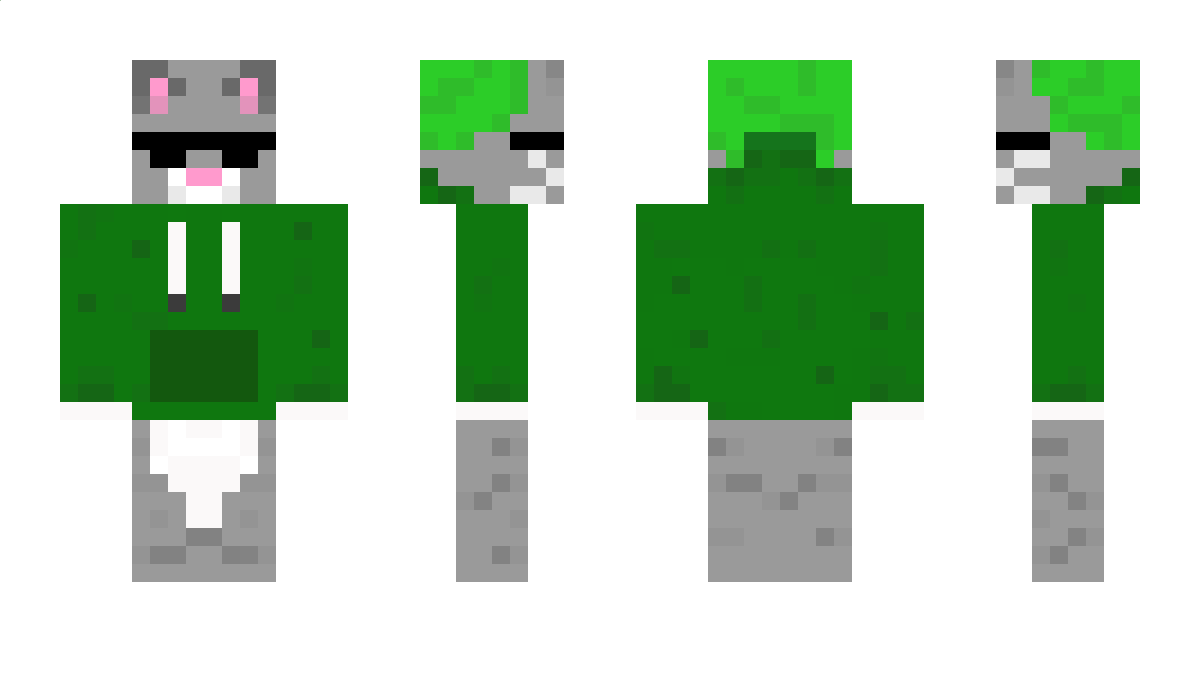 RockStarCatt Minecraft Skin