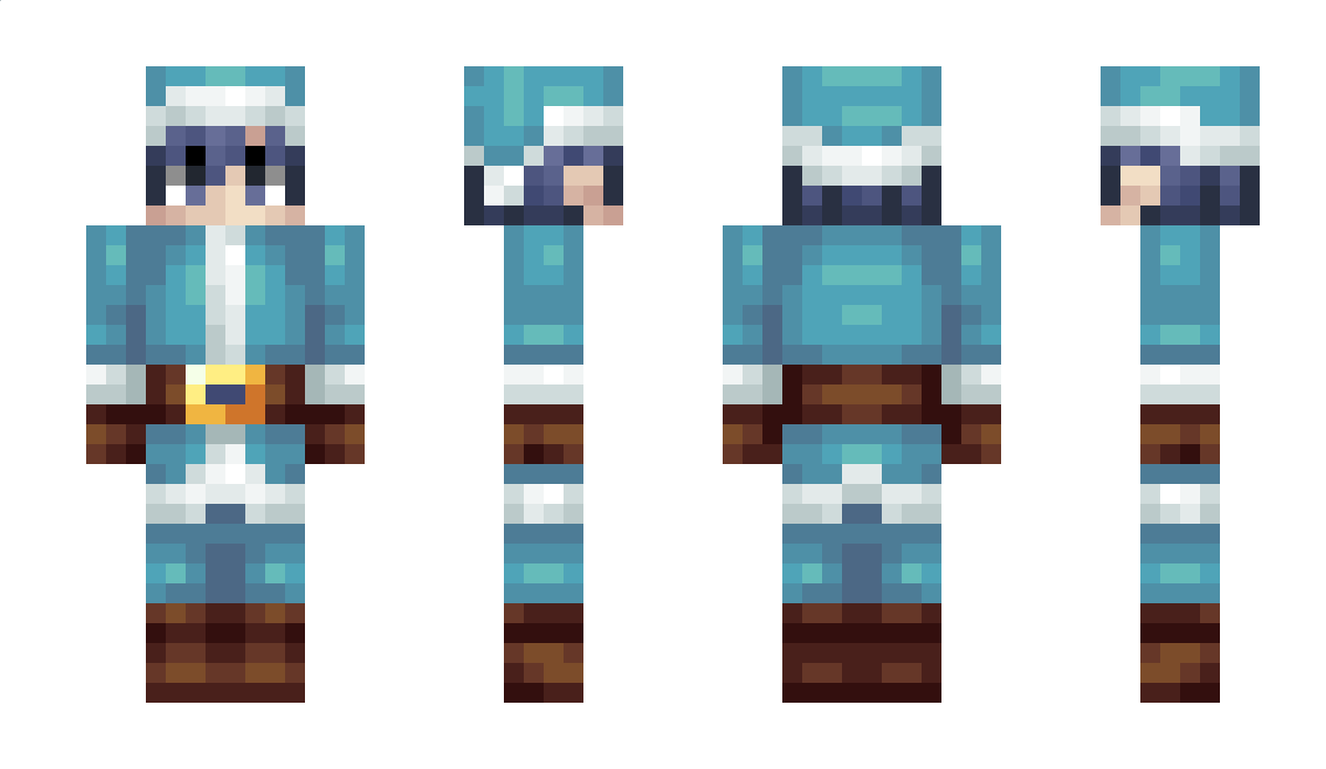 Paroi Minecraft Skin