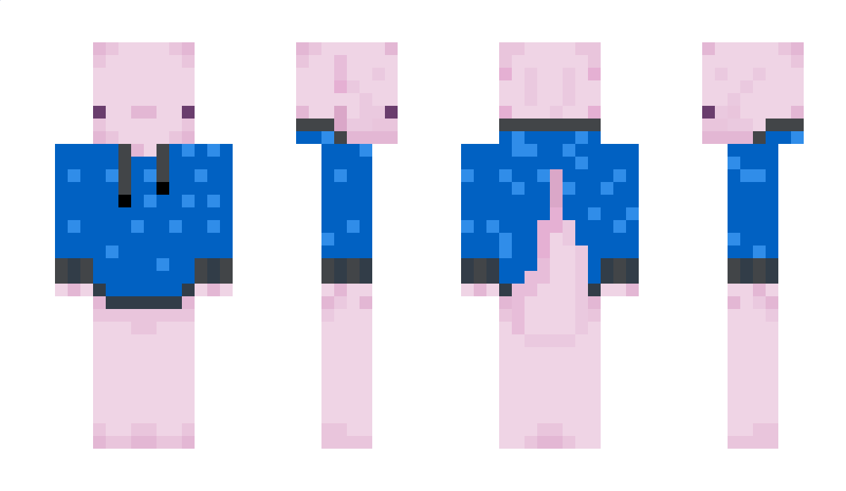 StonrSloth Minecraft Skin