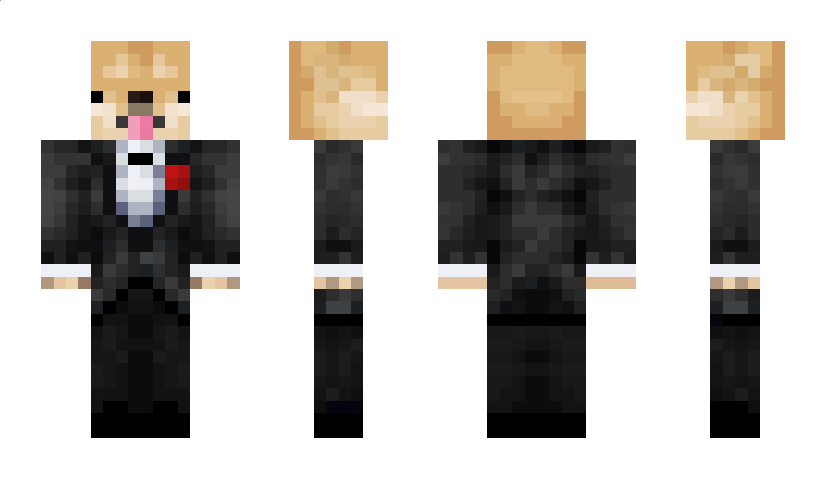 FancyDoge_ Minecraft Skin