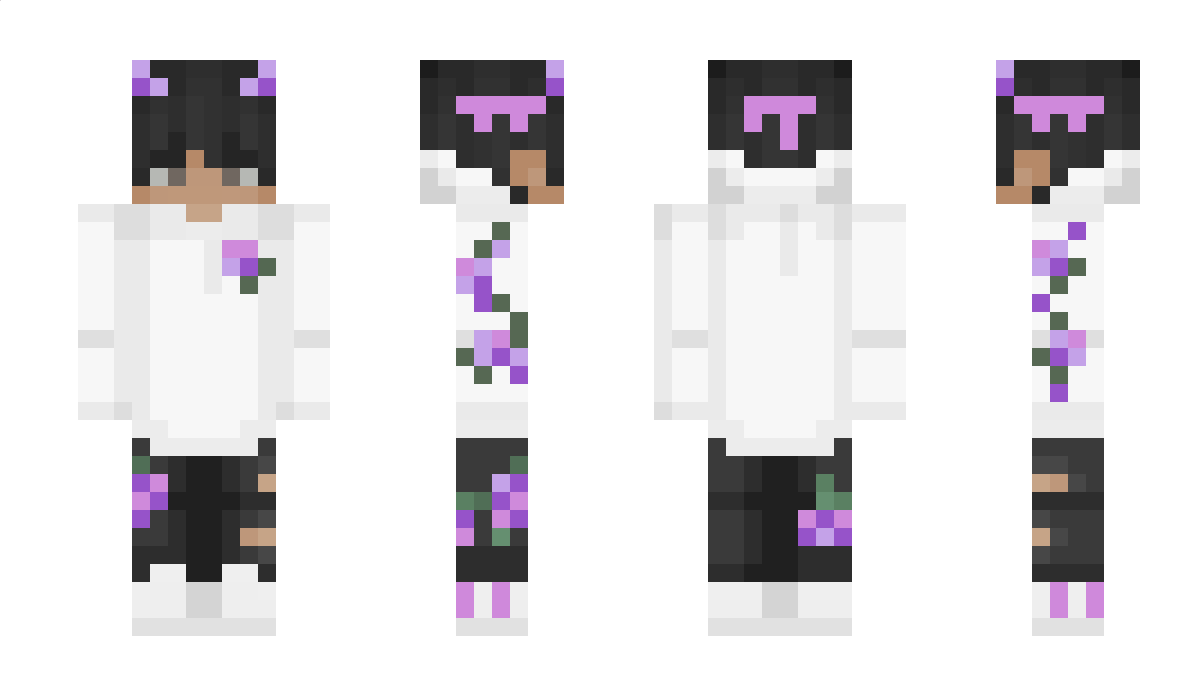 Crazybirdd1234 Minecraft Skin