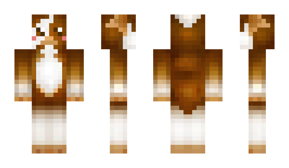 Gismo29 Minecraft Skin