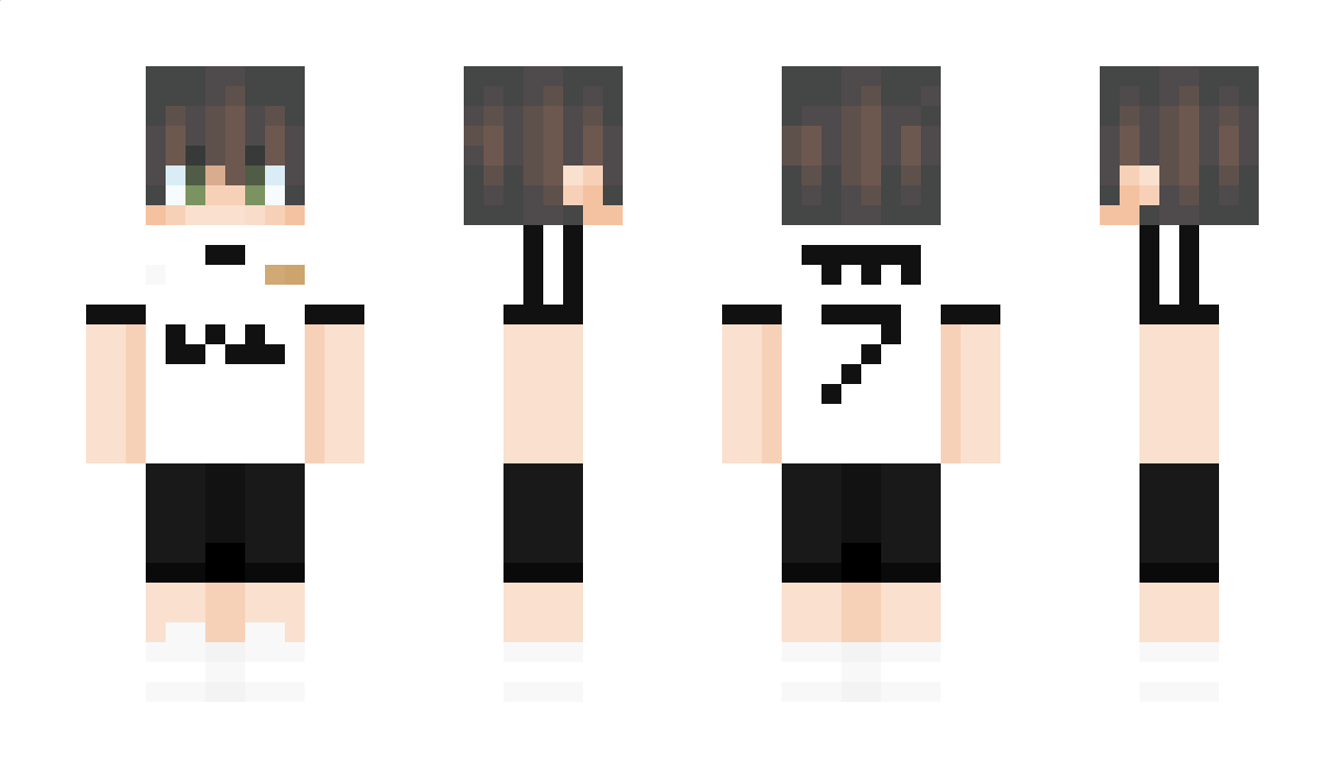 DumbVizz Minecraft Skin