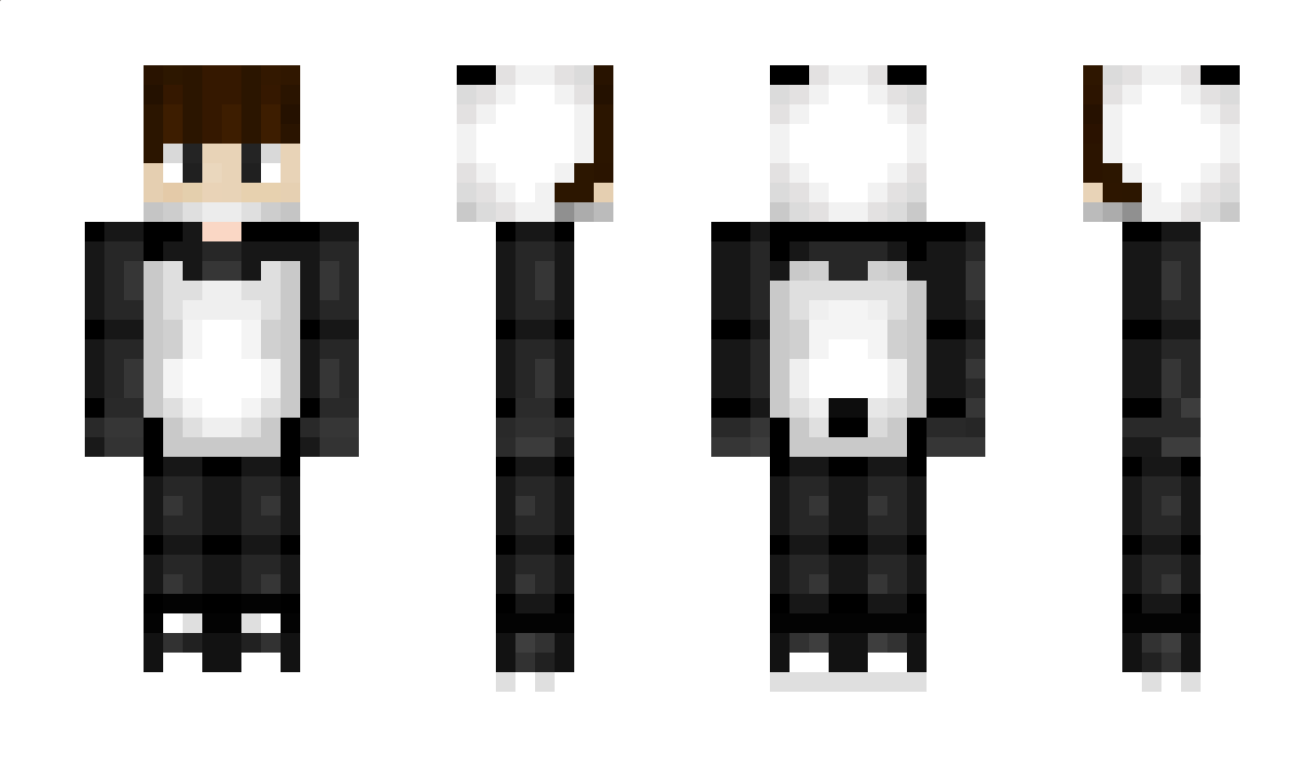 NotPanda Minecraft Skin