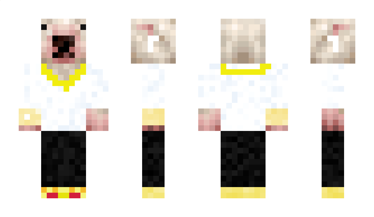 Pettern Minecraft Skin