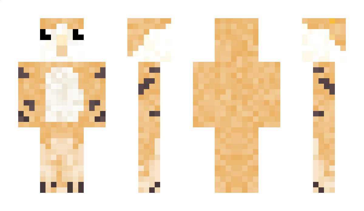 conaticus Minecraft Skin