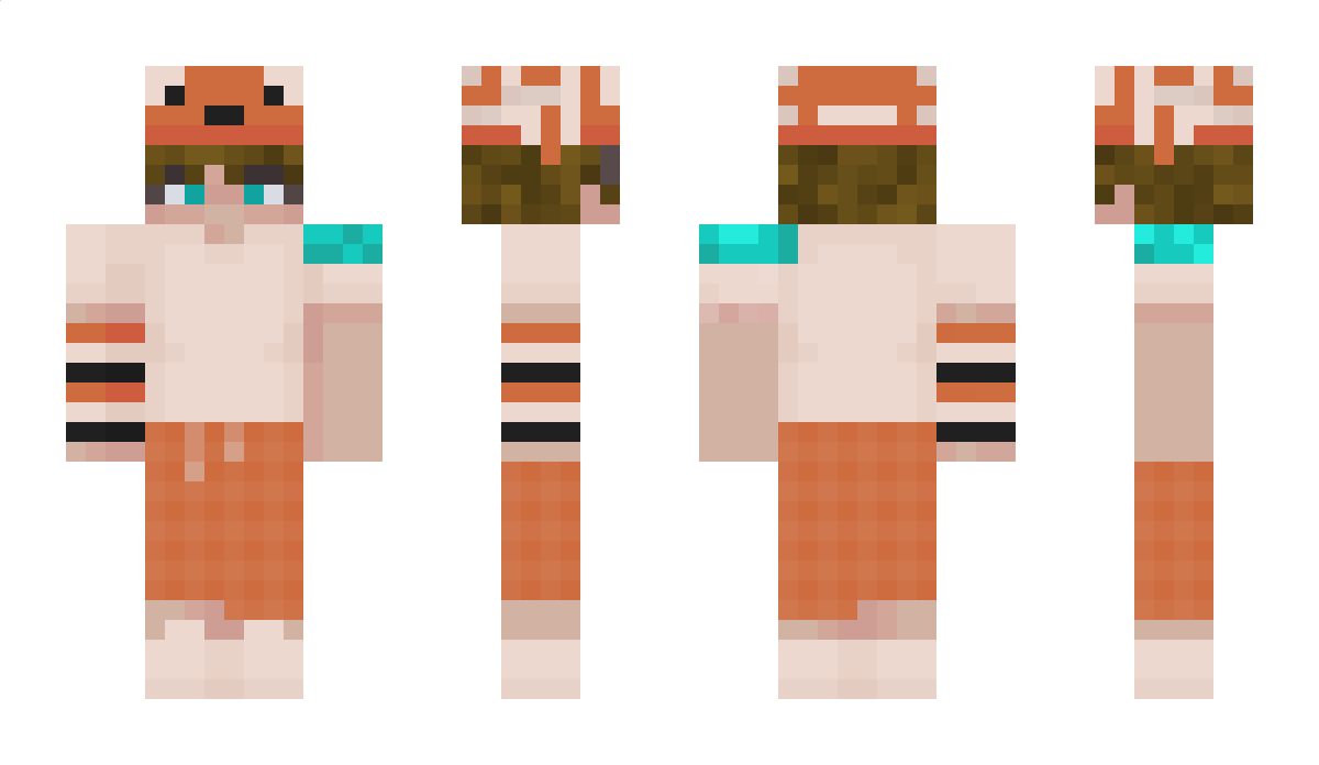 einfach_nemo Minecraft Skin