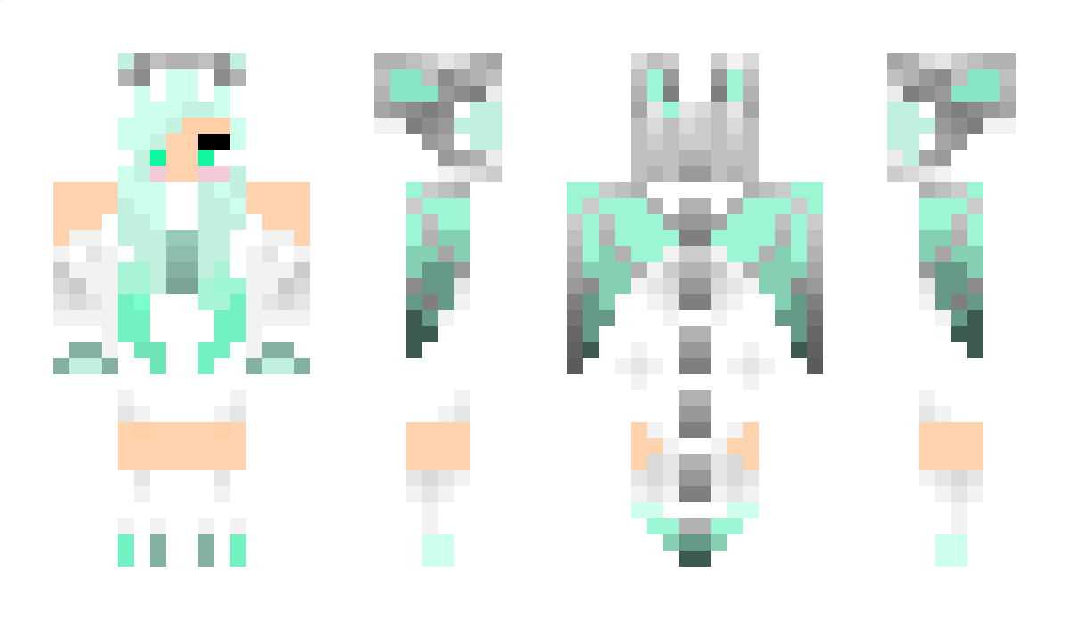 diamonddragon19 Minecraft Skin