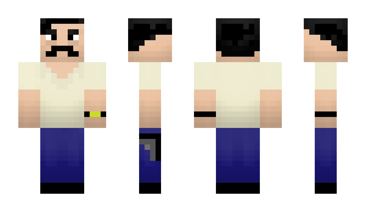 HDFC Minecraft Skin