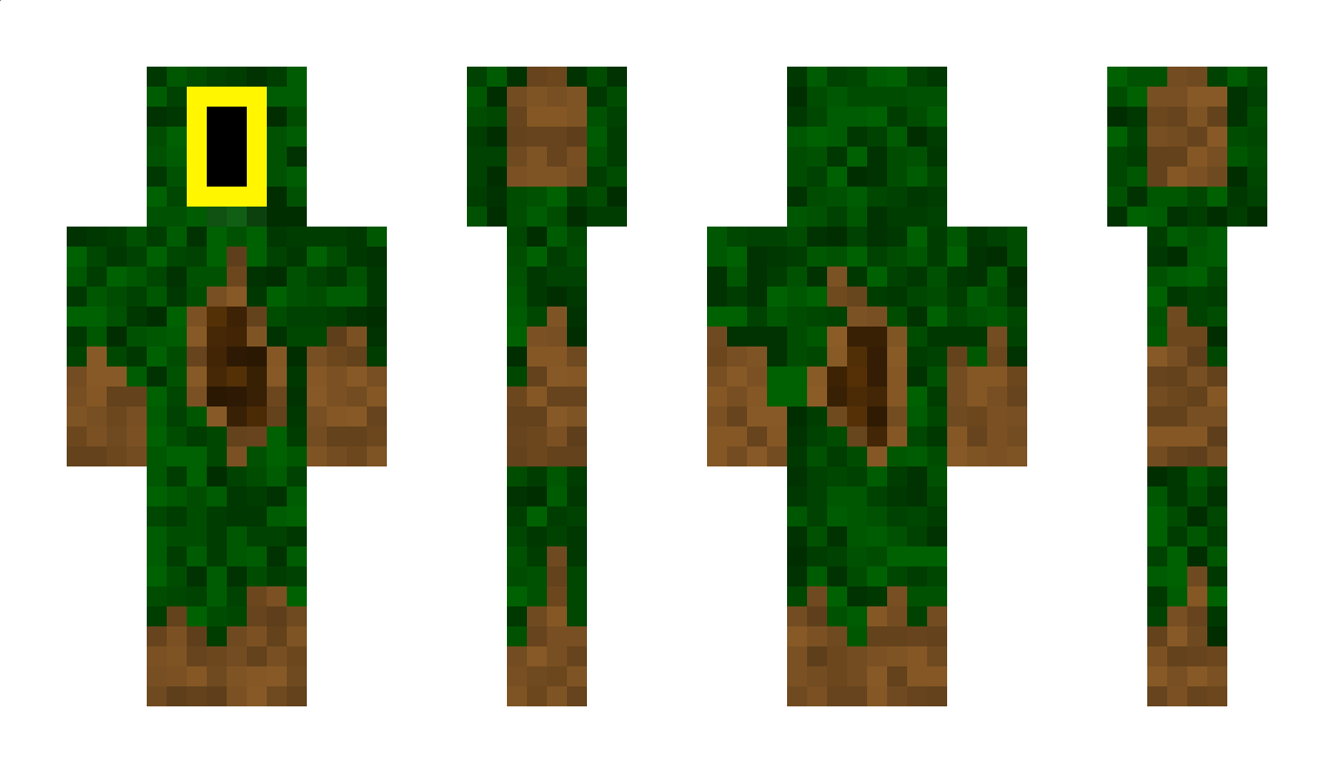 AnAverageAvocado Minecraft Skin