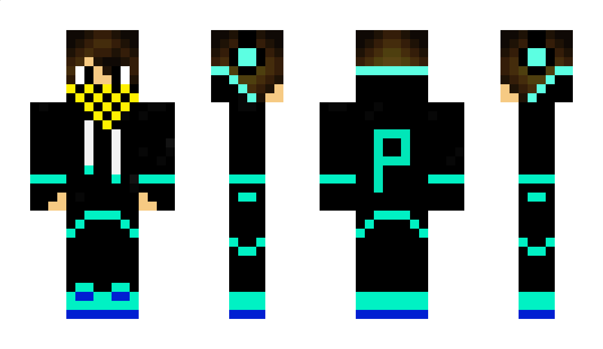 Przemek233809 Minecraft Skin