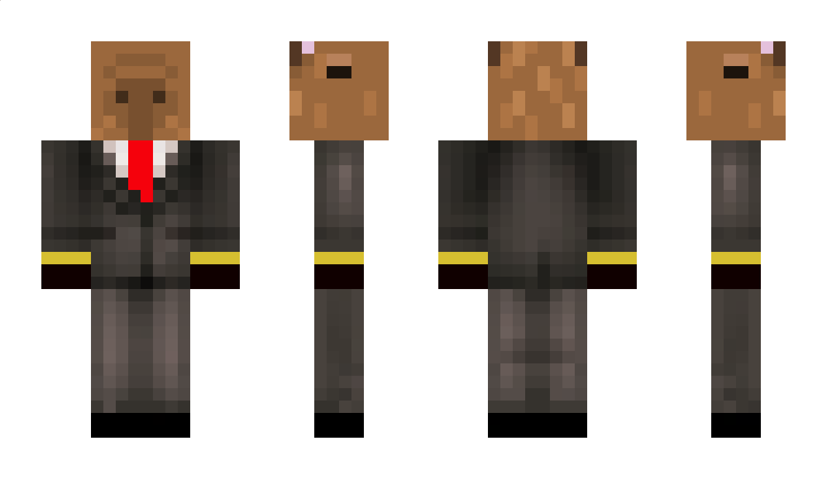 DnDMinecraft Minecraft Skin